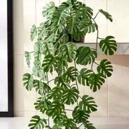Artificial Plant with Plastic Pot-image-42