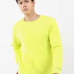 Crew-Neck Sweatshirt with Ribbed Hem-picture-33