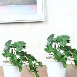 Set of 2 Artificial Plants with Pots-13