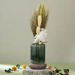 Fabindia Green Gulmohar Dried Flowers Bud Vase with Flower-43