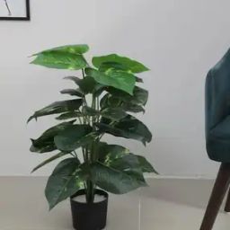 Artificial Photos Home Decor-image-4