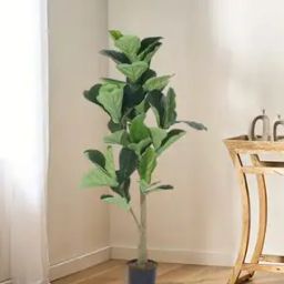 Decoration Artificial Fiddle Leaf Fig Plants-53