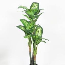 Decoration Artificial Dieffenbachia Plants Indoor Outdoor with Pot-image-27