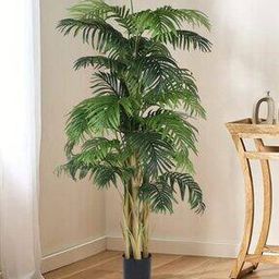 Decoration Artificial Arick Plam Plants-26