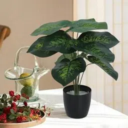 Artificial Dieffenbachia Plant Basic Black Pot -image-6