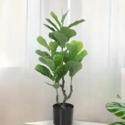Artificial Fiddle Leaf Fig Plant -49
