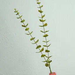 Artificial Eucalyptus Flower Leaf-image-43