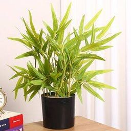 Artificial Bamboo Bonsai Plant in a Plastic Pot -49