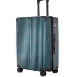 Men Striped Luggage Bags with TSA Lock-48