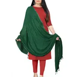 Women Embellished Dupatta-picture-38