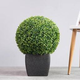 Artificial Seagrass Topiary-28