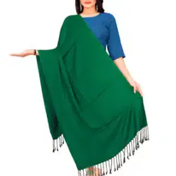 ebadat Women Viscose Dupatta-picture-21