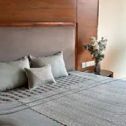 The Minimalist Sage Cutwork Dohar cum Bedcover-image-8
