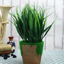 Artificial Plant with Pot-image-22