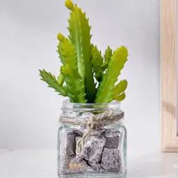 Corsica Tricia Artificial Succulent in Glass Jar-31