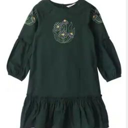 Embroidered A-Line Dress-image-61