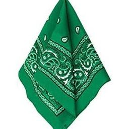 Men Paisley Print Bandana-image-55