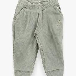 Girls Self-Striped Regular Fit Joggers-image-71