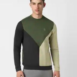 Men Colourblock Regular Fit Crew-Neck Sweatshirt-image-53