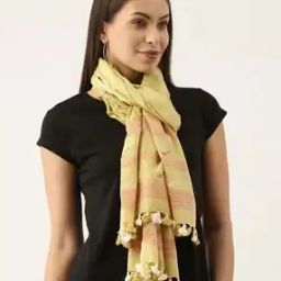 Handloom Jamdani Stole with Fringes-image-39