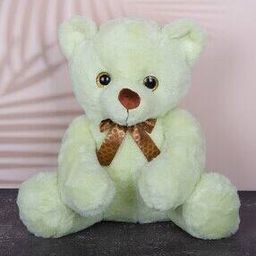 Teddy Bear Soft Toys-26