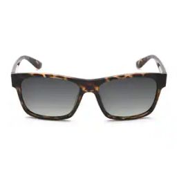 Men Full-Rim Square Sunglasses-SPLP58K57741PSG-picture-50