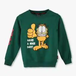 Boys Graphic Print Regular Fit Round-Neck Sweatshirt-picture-50