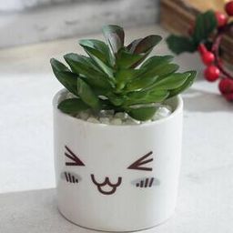Artificial Succulent Plant with Pot-image-0