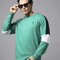 Men Regular Fit Sweatshirt-picture-28