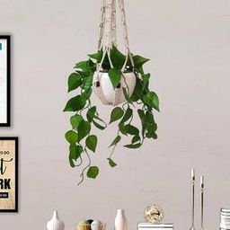 Hanging Fake Money Plants with Metal Pots-image-34