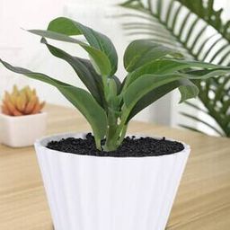 Artificial Plant with Pot-14