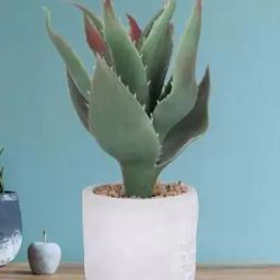 Artificial Plant with Pot-12