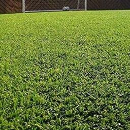 Artificial Grass Carpet 6.5' x 2'-image-1