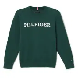 tommy hilfiger Boys Regular Fit Sweatshirt-picture-35