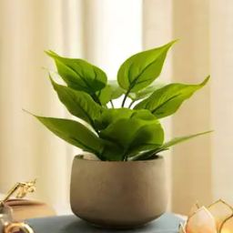 Artificial Plant with Pot-24