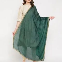 Embellished Woven Dupatta-picture-31
