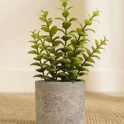 Faux Apple Leaves with Cement Pot-35
