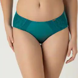 Women Regular Fit Panty-picture-22