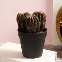 Artificial Cactus Plant for Interior Decor-image-38