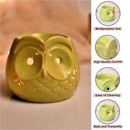 Ceramic Owl Oil Diffuser-picture-51