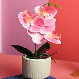 Polyester Flower with Pot-32