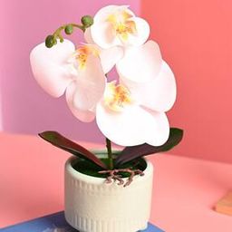 Polyester Flower with Pot-40