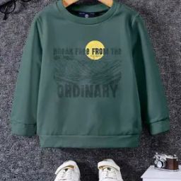 Boys Regular Fit Graphic Print Sweatshirt-image-91