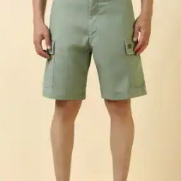 allen solly Men Regular Fit Cargo Shorts with Insert Pockets-picture-2