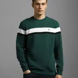 Men Colour-Block Printed Regular Fit Sweatshirt-image-5