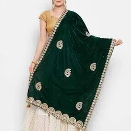 Embellished Dupatta-picture-34
