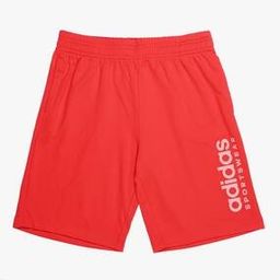 B LIN GRFX Shorts-picture-31