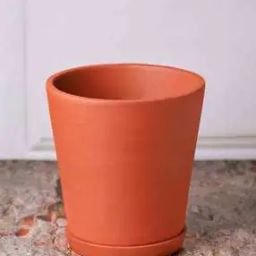 Terracotta Cone-Shaped Planter with Tray-image-50