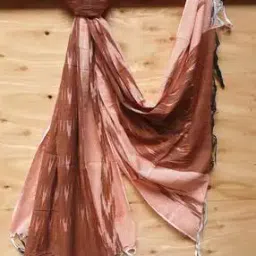 Handloom Woven Cotton Ikat Dupatta-image-69