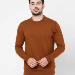 Men Regular Fit Sweatshirt-image-15